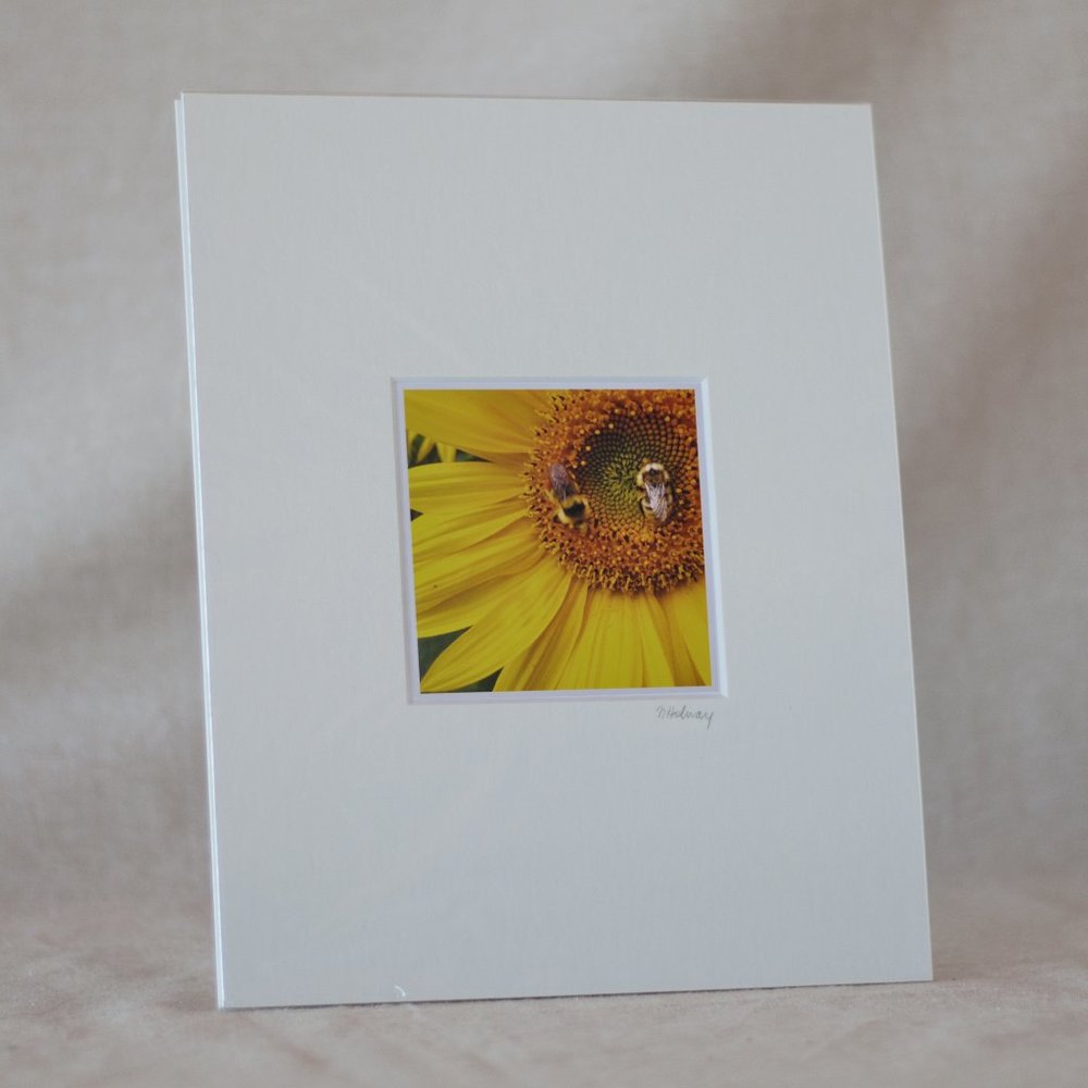 "Let's Bee Friends" Mini Photography Art Print